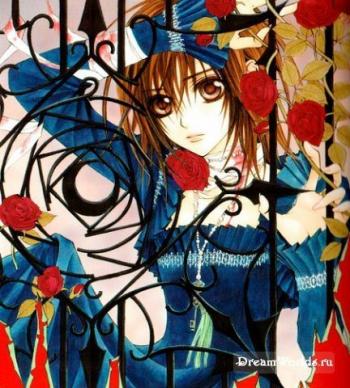 - / Vampire Knight [OST]