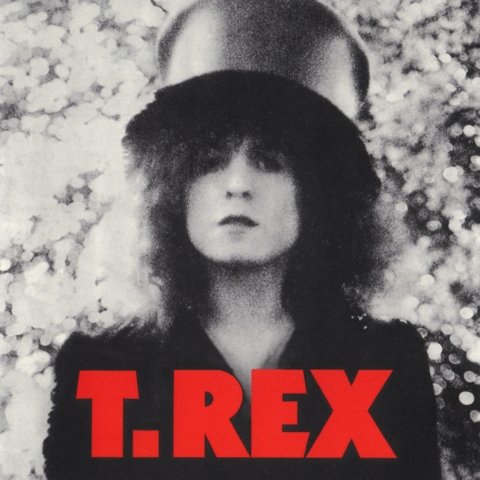 T-REX Discography 