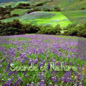 Sounds of Nature (2002)