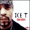 Ice T- (Gang_Culture_2004) (2004)