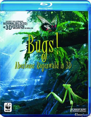 ! / Bugs! A Rainforest Adventure