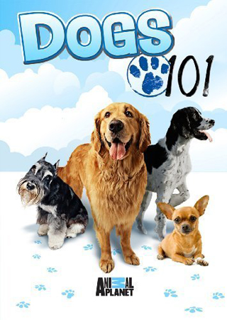    ( 1) / Dogs 101 (part 1) VO