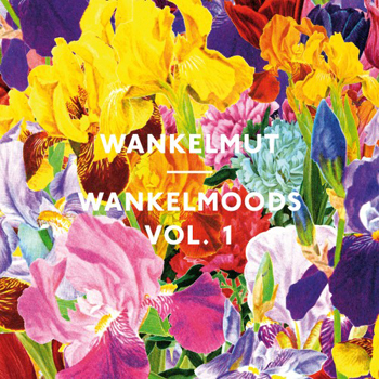 VA - Wankelmut Wankelmoods Vol.1