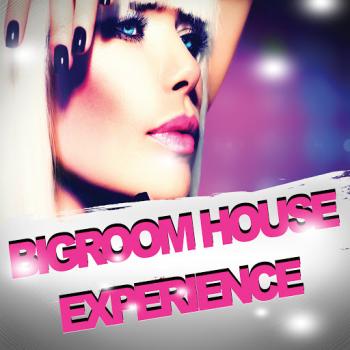 VA - Bigroom House Experience