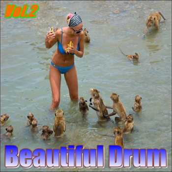 VA - Beautiful Drum Vol.2