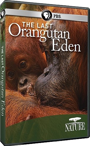    / Nat Gio Wild. The Last Orangutan Eden DUB