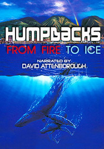  .     / Humpbacks. From Fire to Ice VO