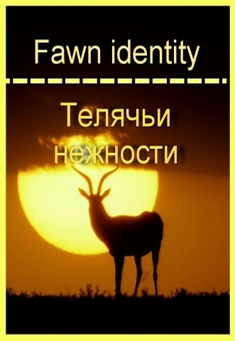   / Fawn Identity VO