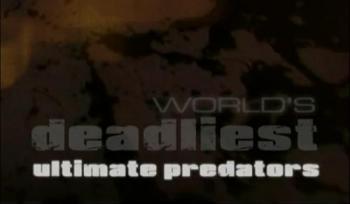   .   / World's deadliest. Ultimate Predators