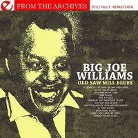 Big Joe Williams - Old Saw Mill Blues From The Archives
