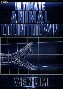 -:  / Ultimate Animal Countdown: Venom VO