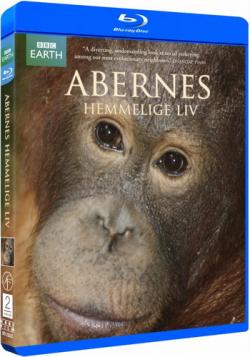 BBC.   (4   4) / BBC. The Secret Life of Primates VO