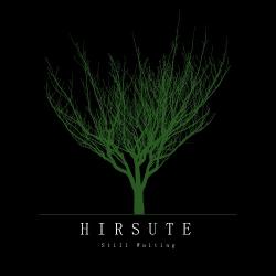 Hirsute - Still Waiting