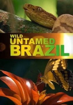   / Wild Untamed Brazil DUB