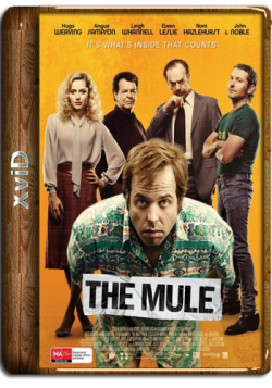  / The Mule DVO