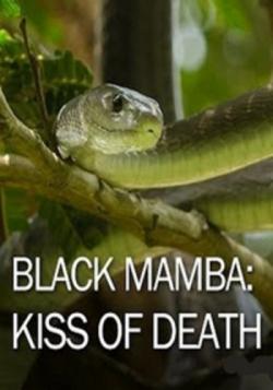  :   / Black Mamba: kiss of death VO