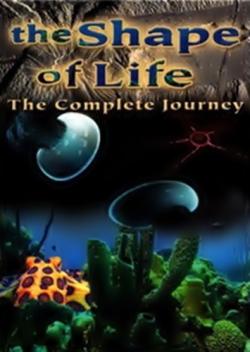    (1-8   8-) / The Shape of Life. The Story of the Animal Kingdom DUB
