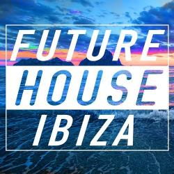 VA - Future House Ibiza