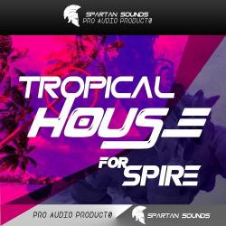 VA - Tropical Spire Selected House