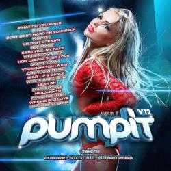 VA - Pump It Vol 12