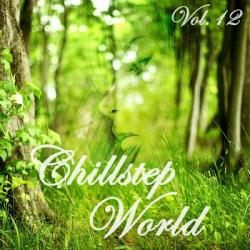 VA - Chillstep World Vol.12