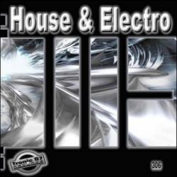 VA - House & Electro 2011