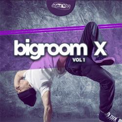 VA - Bigroom X Vol. 1