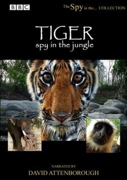 BBC.  -  . / Tiger - Spy in the Jungle