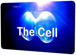 BBC.  (3 ) / The Cell DVO