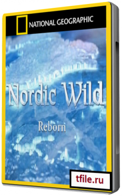    (4   4) / Nordic Wild VO