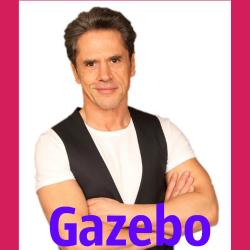 Gazebo -  