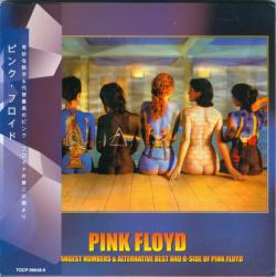 Pink Floyd - The Strangest Numbers (2CD)