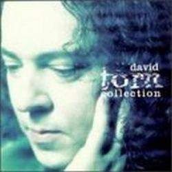 David Torn - The David Torn Collection
