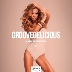 VA - Groovedelicious, Vol. 3 (40 Deep and Tech House Sounds)