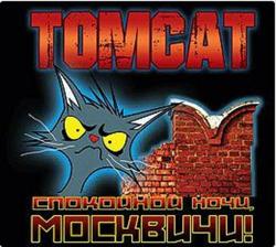 TomCat -  , !