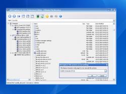 UFS Explorer Professional Recovery 3.19.1 RePack
