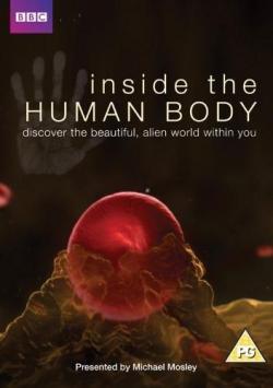 [PSP] BBC:    (1-4   4) (1 ) / BBC: Inside the Human Body (2011) VO