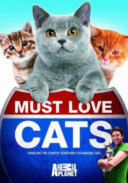     / Must love cats (6 ) VO