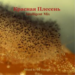 DJ Voyage - ''  - Intelligent Mix''