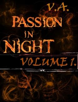 VA - Passion In Night vol1