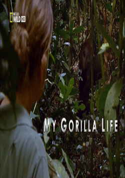     / My Gorilla Life VO