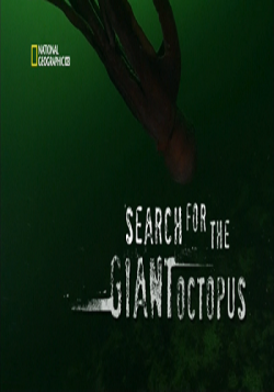     / Search for the Giant Octopus VO
