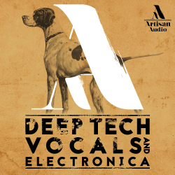 VA - Keep Original - Deep Tech Vocals Electronica
