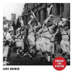 Luke Haines - Smash the System