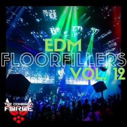 VA - EDM Floorfillers Vol.12