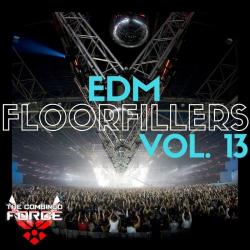 VA - EDM Floorfillers Vol.13