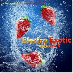 VA - Electro Exotic vol.3