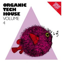 VA - Organic Techhouse Vol 4