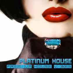 VA - Platinum House: Premium House Vibes