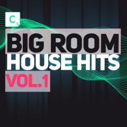 VA - Big Room House Hits vol.1